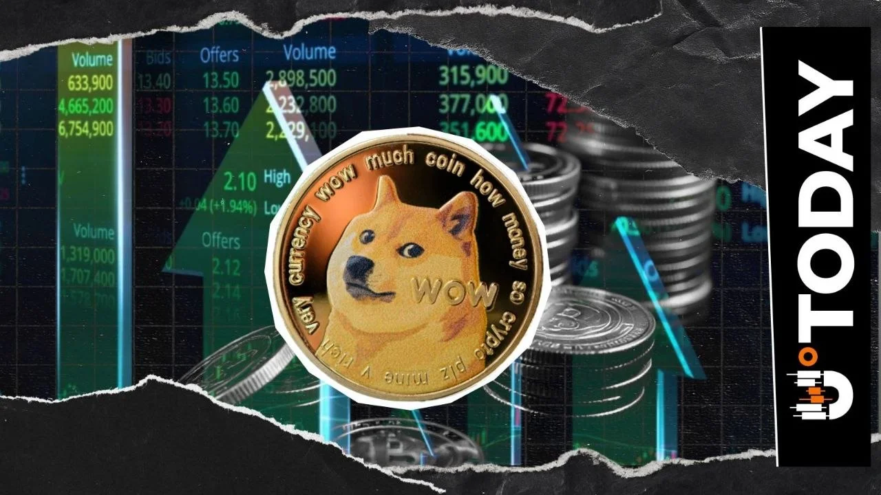 Dogecoin Market Cap Is 8x Larger Than Entire NFT Market