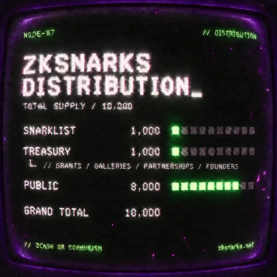 zkSNARKs NFT Mint: Public Auction Guide & ZEC Risks